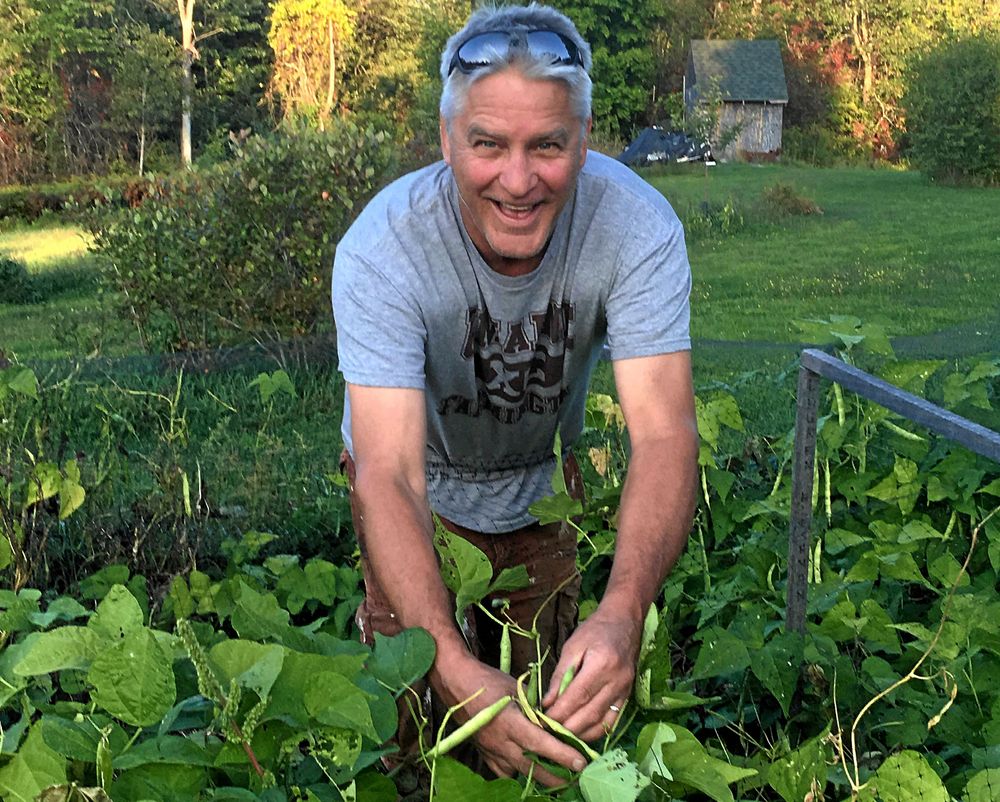 Arvid Cullenberg, i Maine i USA, är femte generationen som odlar den gamla bönsorten från 1800-talets Skåne.