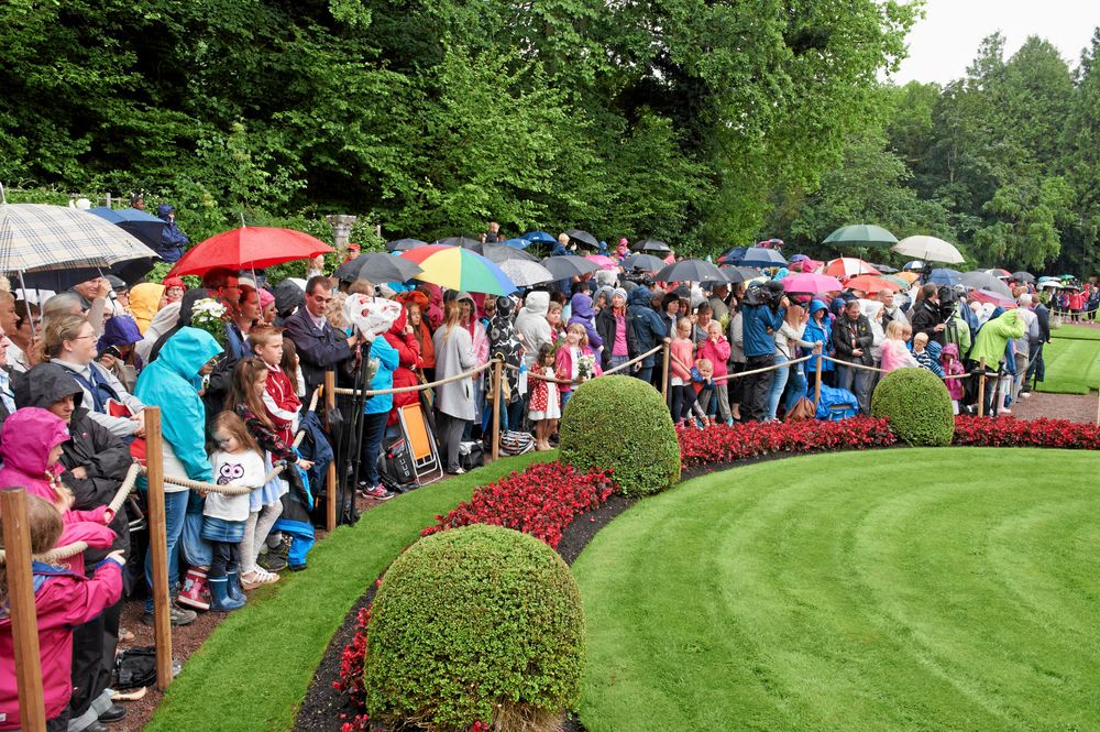 Köerna ringlar långa inför firandet av Victoria på Solliden varje år. Niklas ser därför till att vara tidigt ute och har under de nio senaste åren varit en av de första att släppas in.