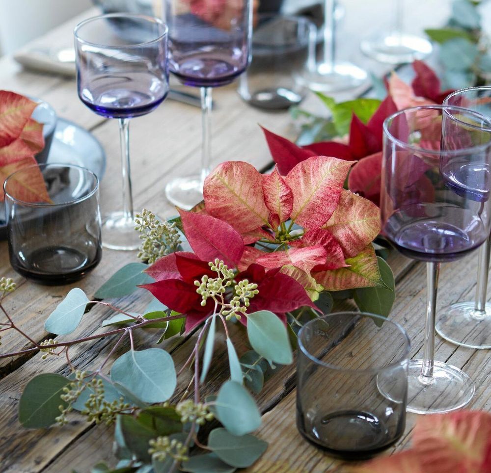 'Christmas Nostalgy' blommar som en asp om hösten. Purpur, rosa och lite gult.