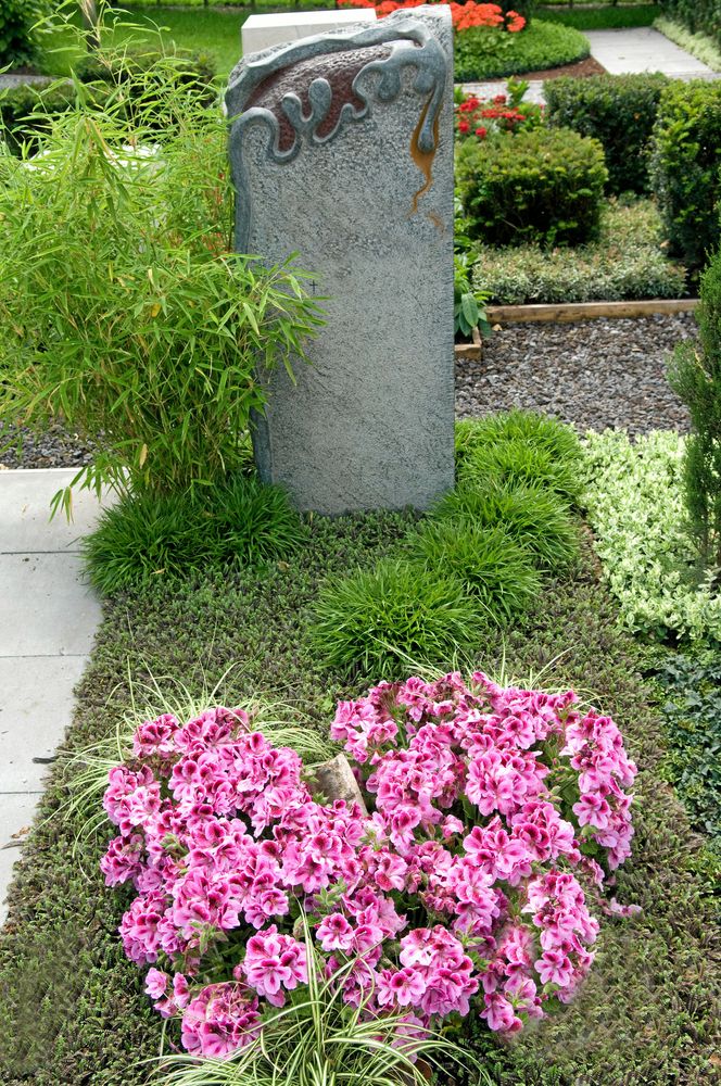 Slingrande mönster av tuvbildande gräs.