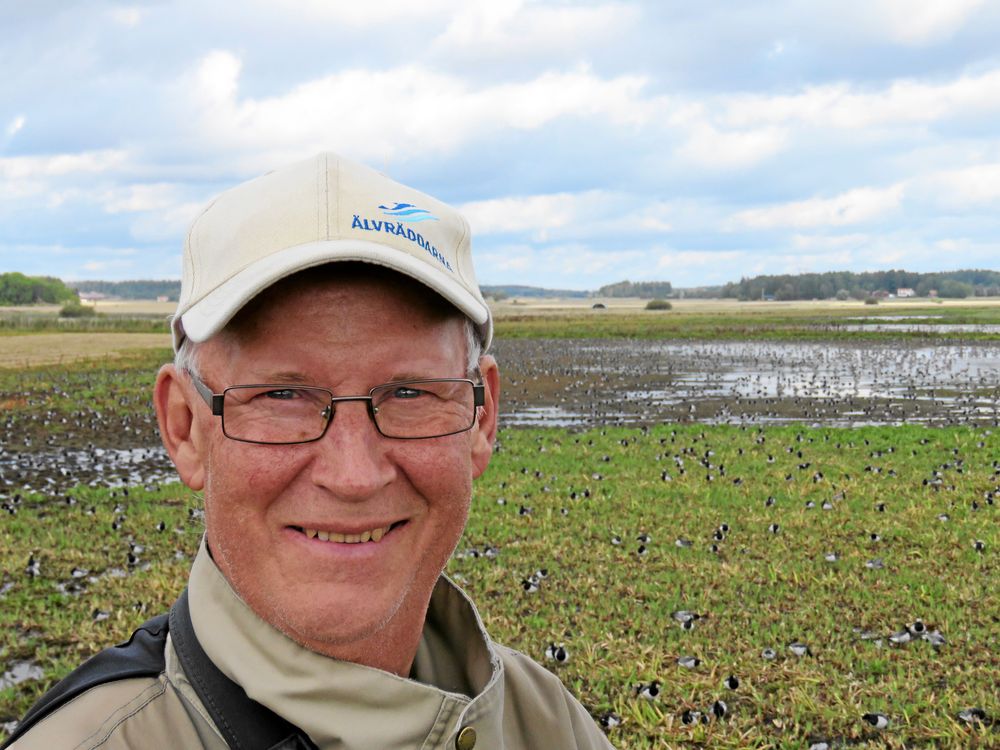 Inte mycket undgår Pekka Westin, när det gäller fåglar. I 60 år har han skådat och vid Hjälstaviken hjälpte han Land att identifiera minsta pip.