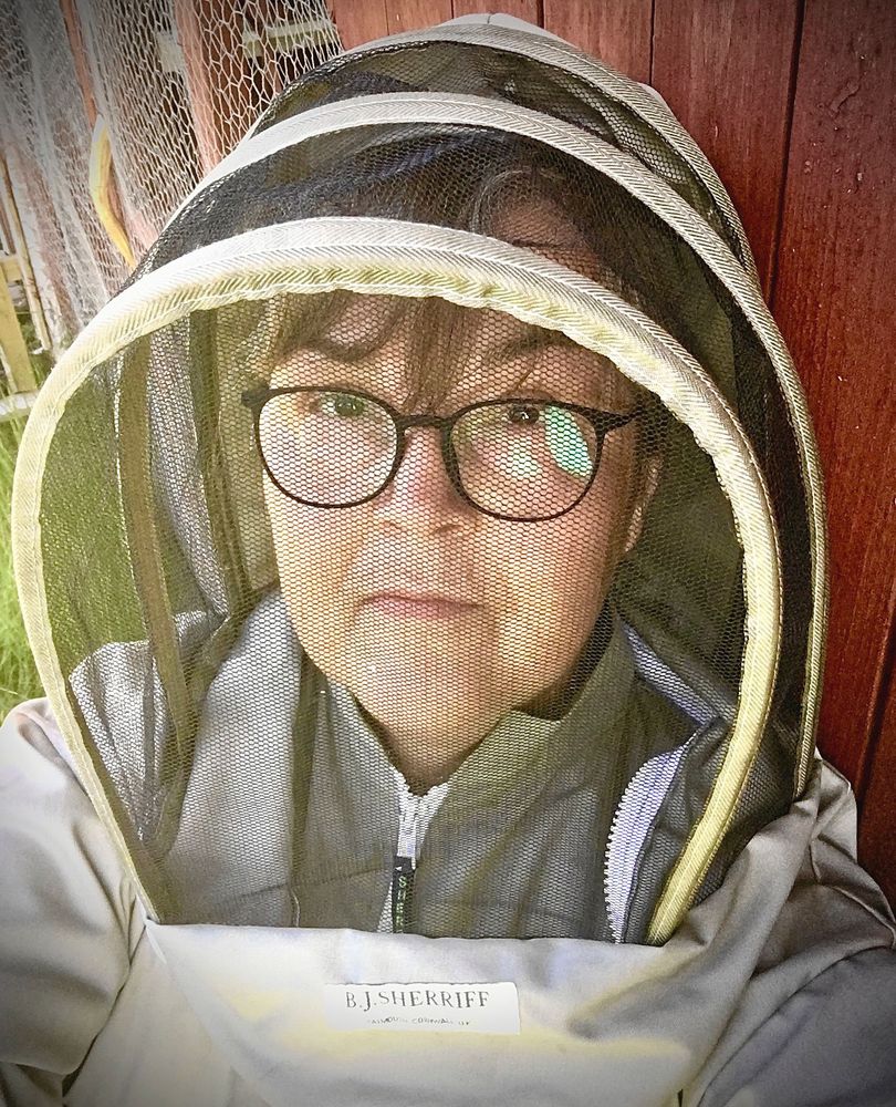 Hondenna, extra finklädd för fotografering.