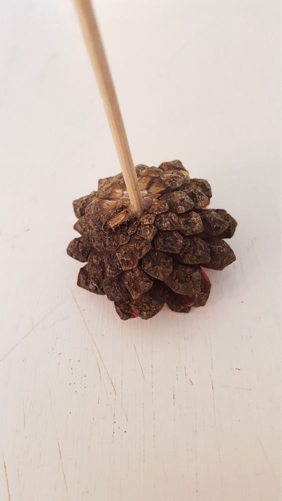 Borra ett hål i botten av kotten. Tryck ner en blompinne eller en grillpinne i botten av kotten.