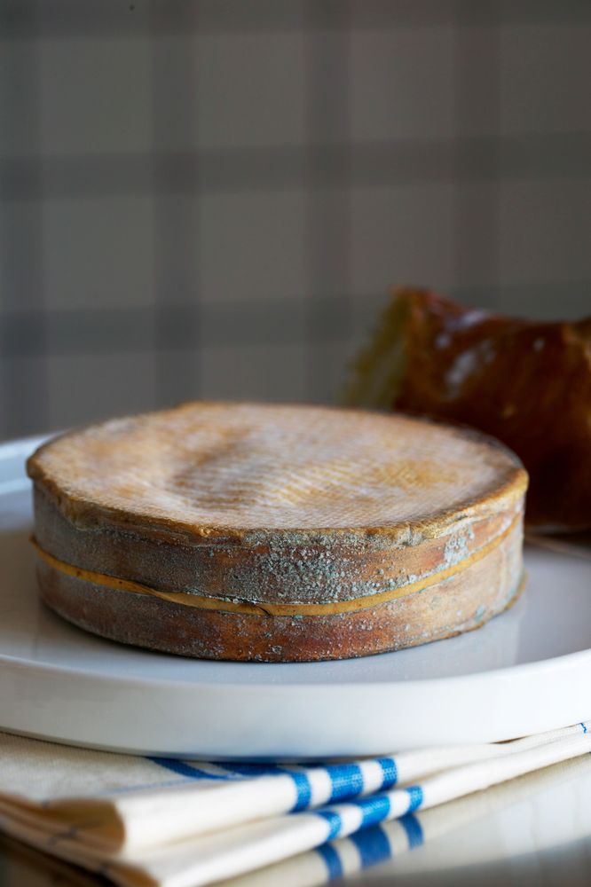 Granbarksosten från Jürss vann guld vid World Cheese awards.