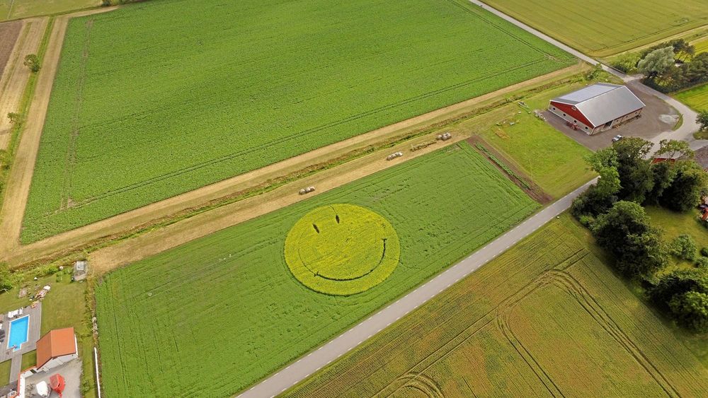 För två år sedan blev det en smiley på åkern.