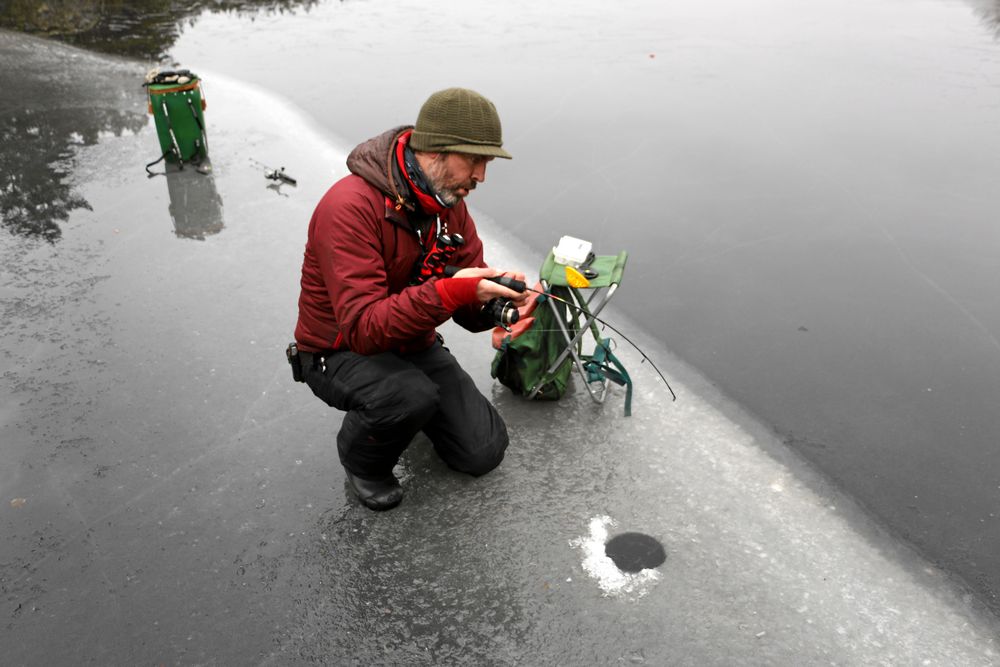 Lands fiskereporter med en fin fisk på gång. Regnbågen är en stark fisk som det inte är att veva upp hur som helst.