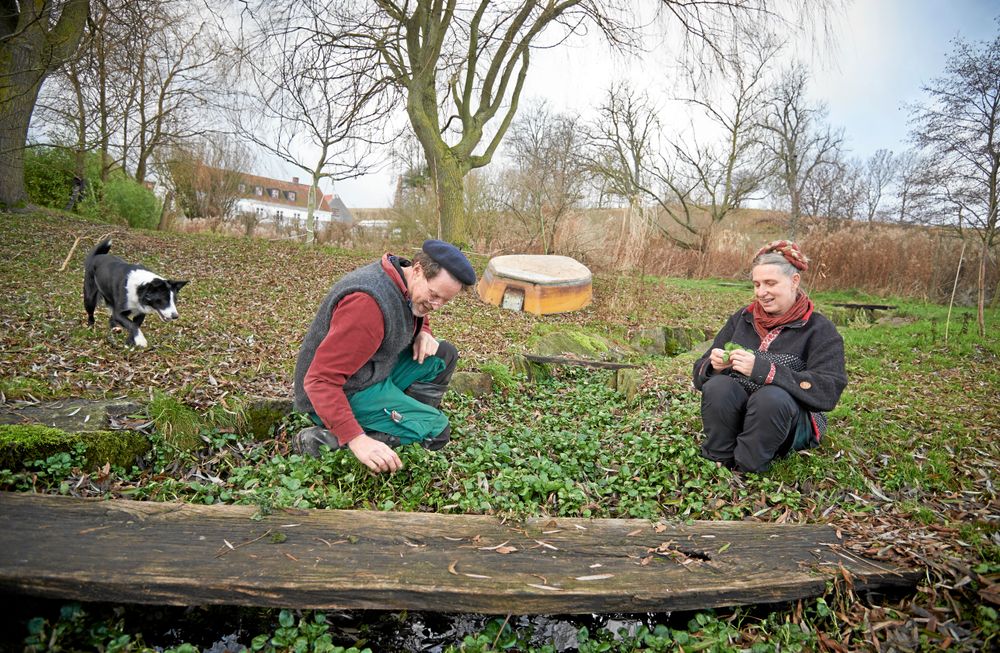 Lite vintergrönt och vattenkrasse går att plocka trots att det är vinter. Klimatet kring gården Djupadal är gynnsamt och milt.