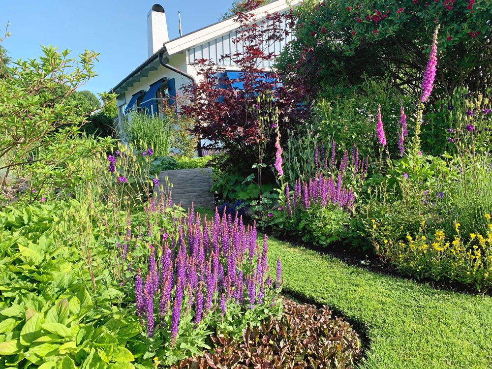 På husets framsida går gången genom perennrabatter i lila toner fram till den kullriga bron som Håkan byggt själv.