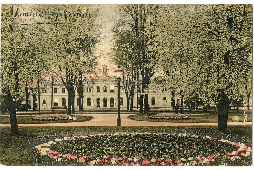 Tulpaner och körsbärsblom i Norrköpings järnvägspark 1910.