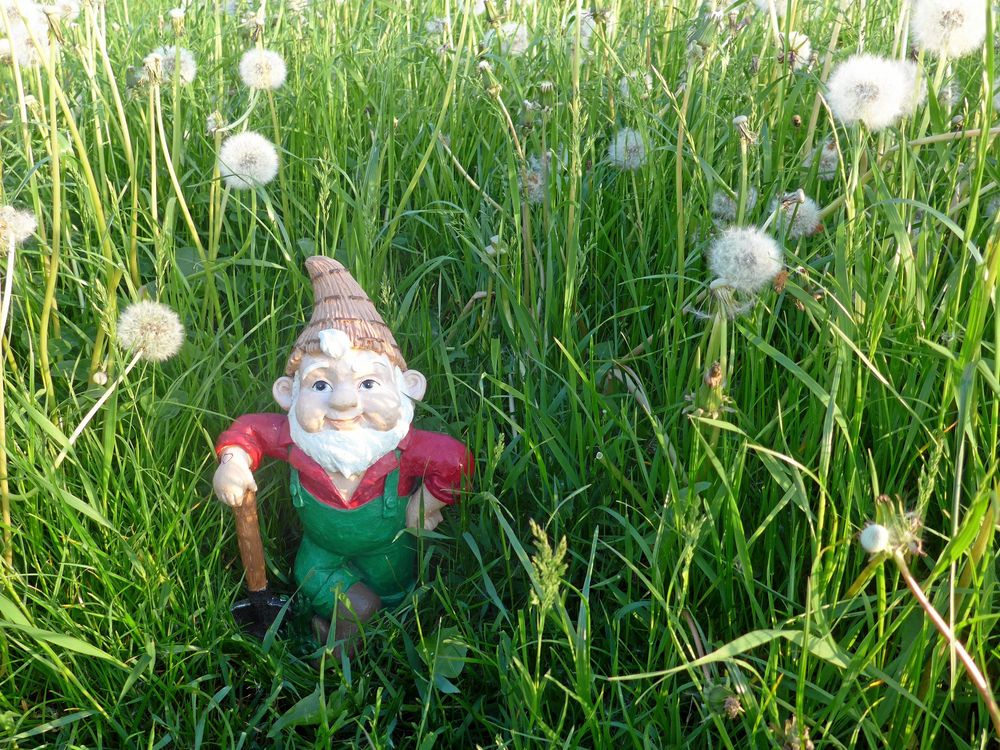 Övermäktigt ogräs? Pynta, fnissa och låt stå.