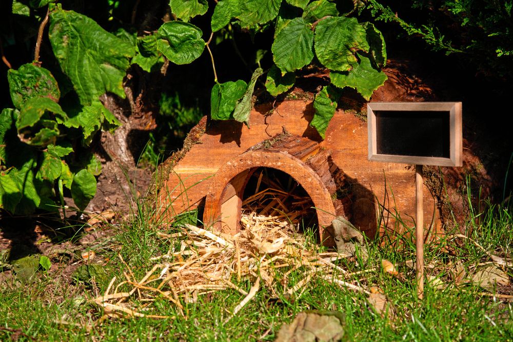Nybygge som härmar en gammal stock med bark utanpå.