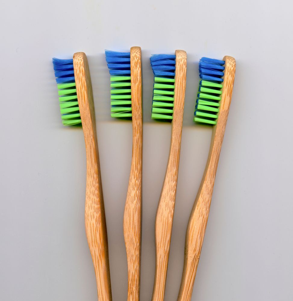 Tandborstar gjorda av bambuträ har kommit in på marknaden, som ett miljövänligt och hållbart alternativ till plasttandborsten.