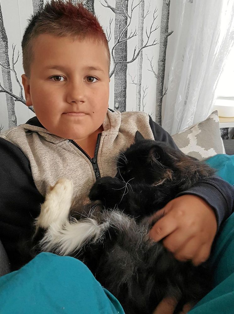 Edward är en speciell katt för Anna och sonen Jacob, så sorgen var stor när han försvann.