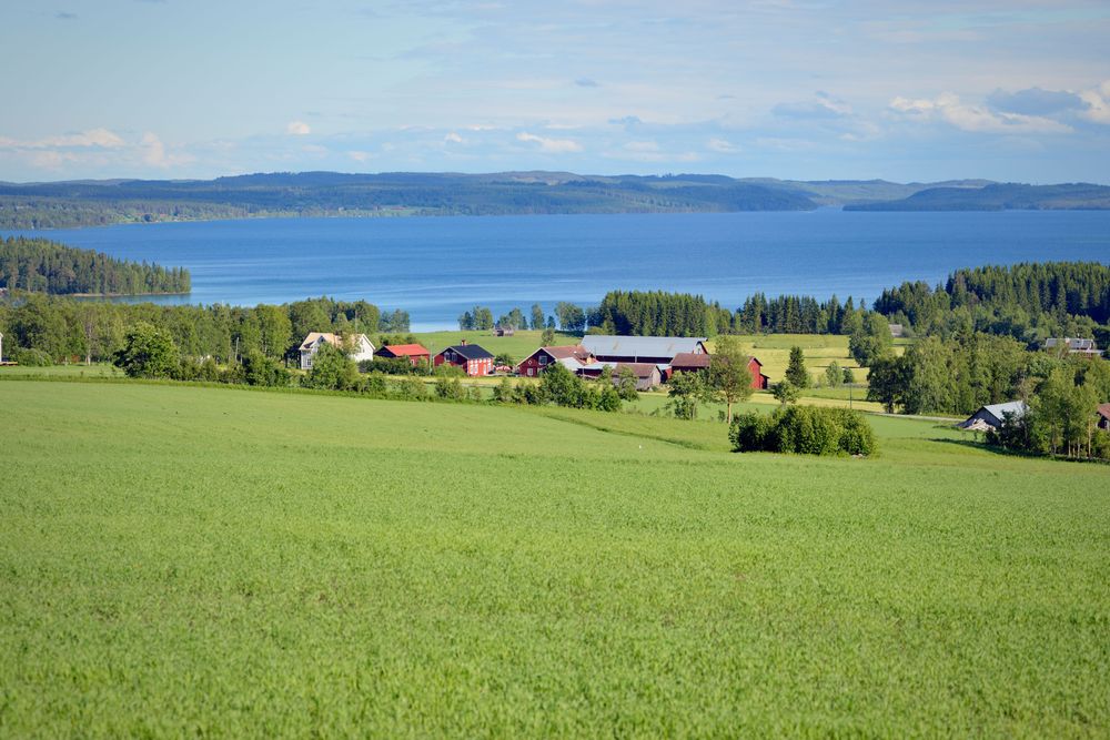 Brunflo i Jämtland. Foto: IBL