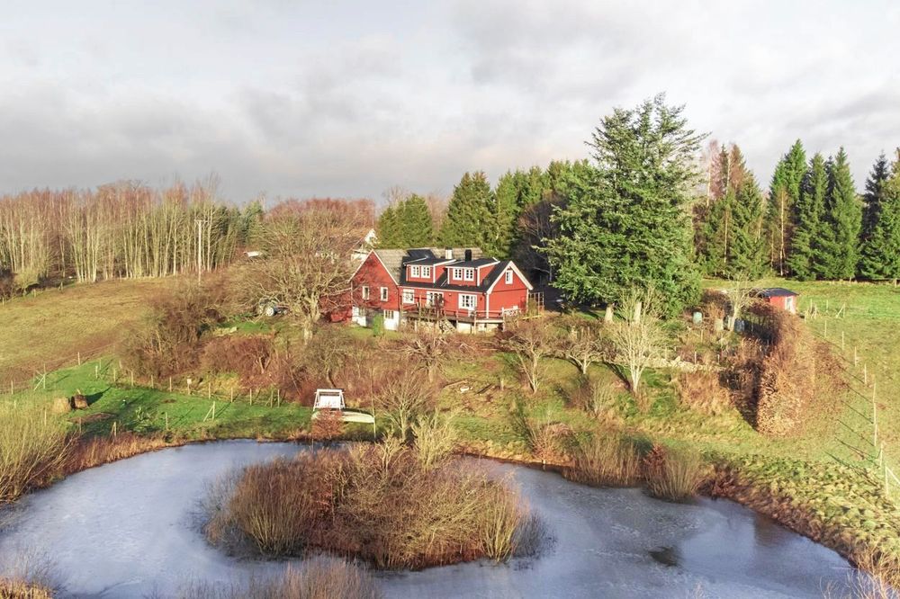 Den egna dammen lever kräftor och karp, paddor och grodor.