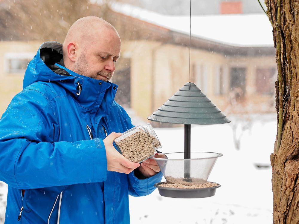 Många av oss fyller på fågelmataren regelbundet under vintern.