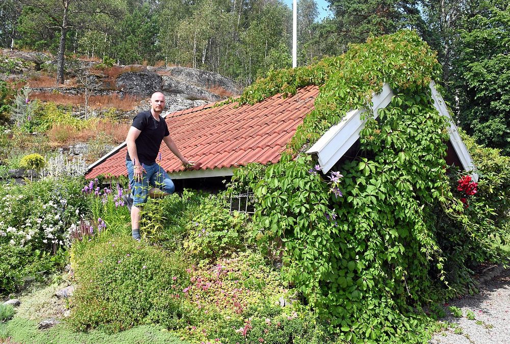 Andreas Benkel har låtit ett av husen i trädgården bli en del av växligheten och även bergssluttningen i bakgrunden har han lagt mycket tid på.