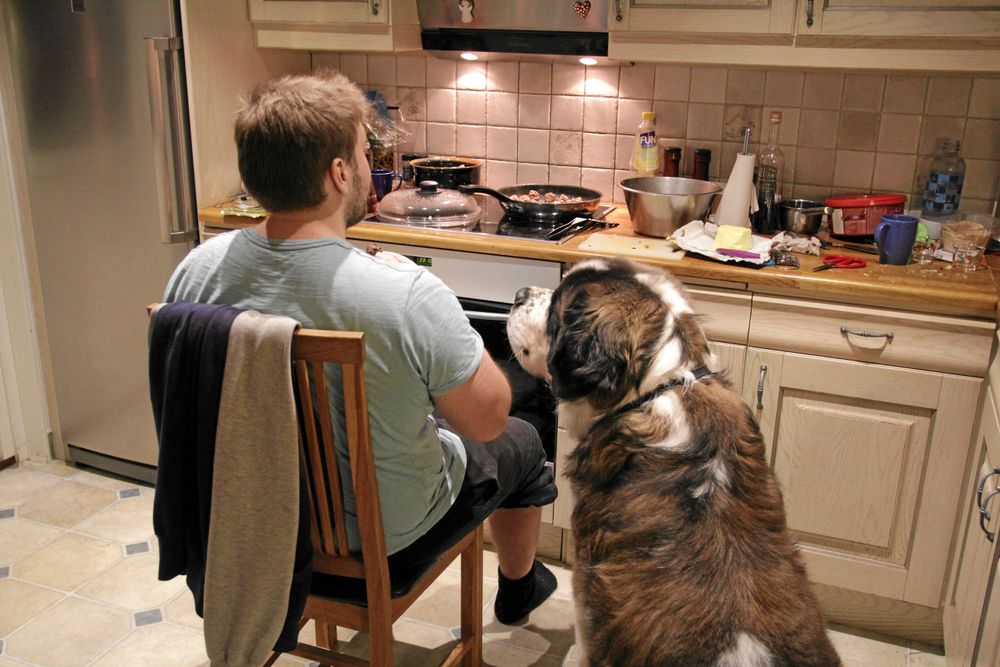 Tredje pris. Leif Zackrisson, Vänersborg, vann på igenkänning. Det här är livet med hund i ett nötskal, dessutom skildrat med värme. Sankt Bernhardshannen Atlas är 2 år, väger 80 kilo och älskar köttbullar.