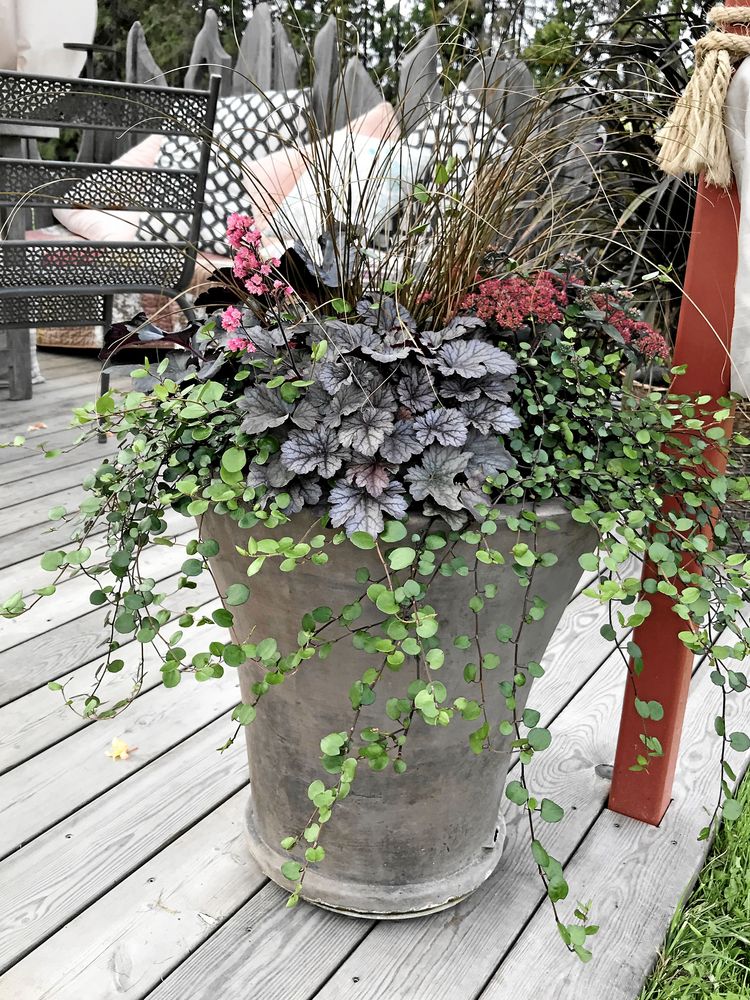 Här byggs det både på höjden och ut över krukans kant.