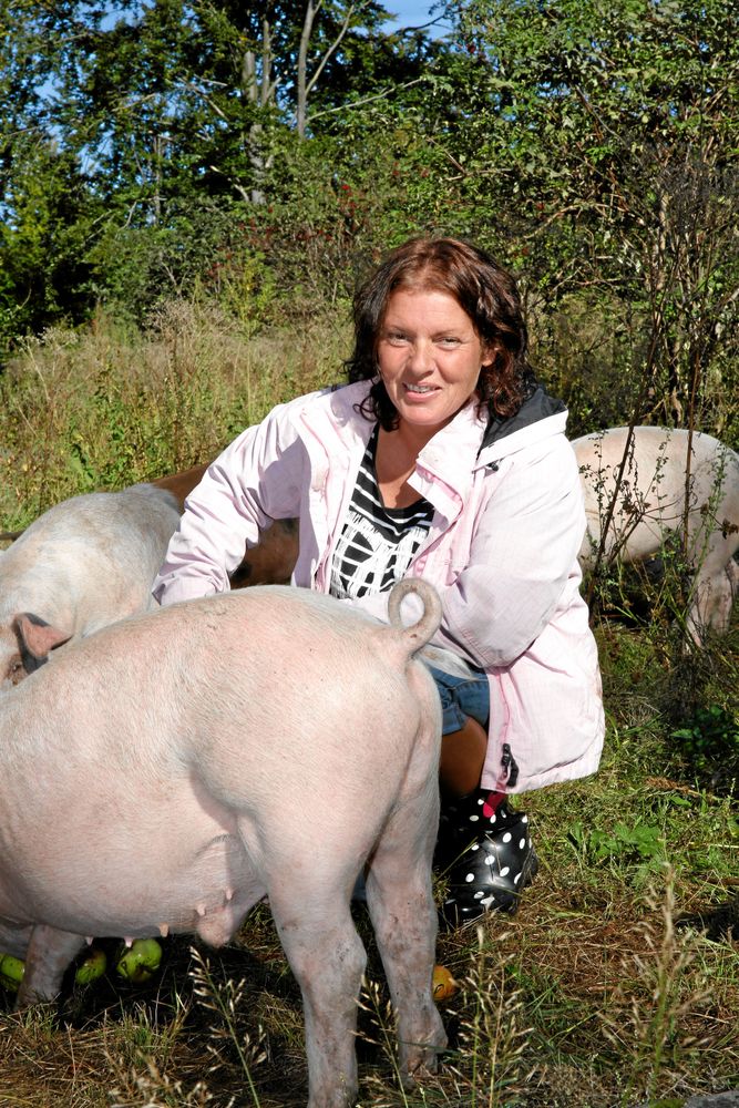 Nyfikna grisar som gärna kikar förbi för att roffa åt sig några äpplen ur hinken.