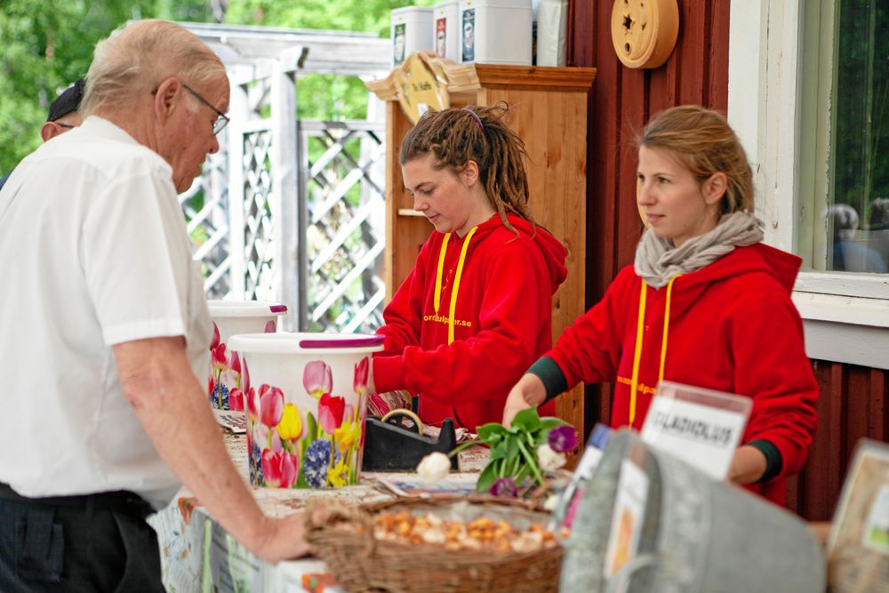 När busslaster av besökare kommer under Tulpanfestivalen, rycker vännerna Farina Logeman och Cindy Kasper, in och hjälper till.