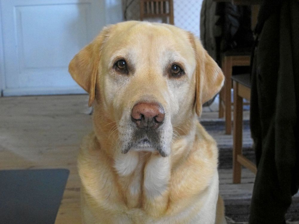 Vinnare 8: Vagn Nielsen och Kristina Andersson, Kinna