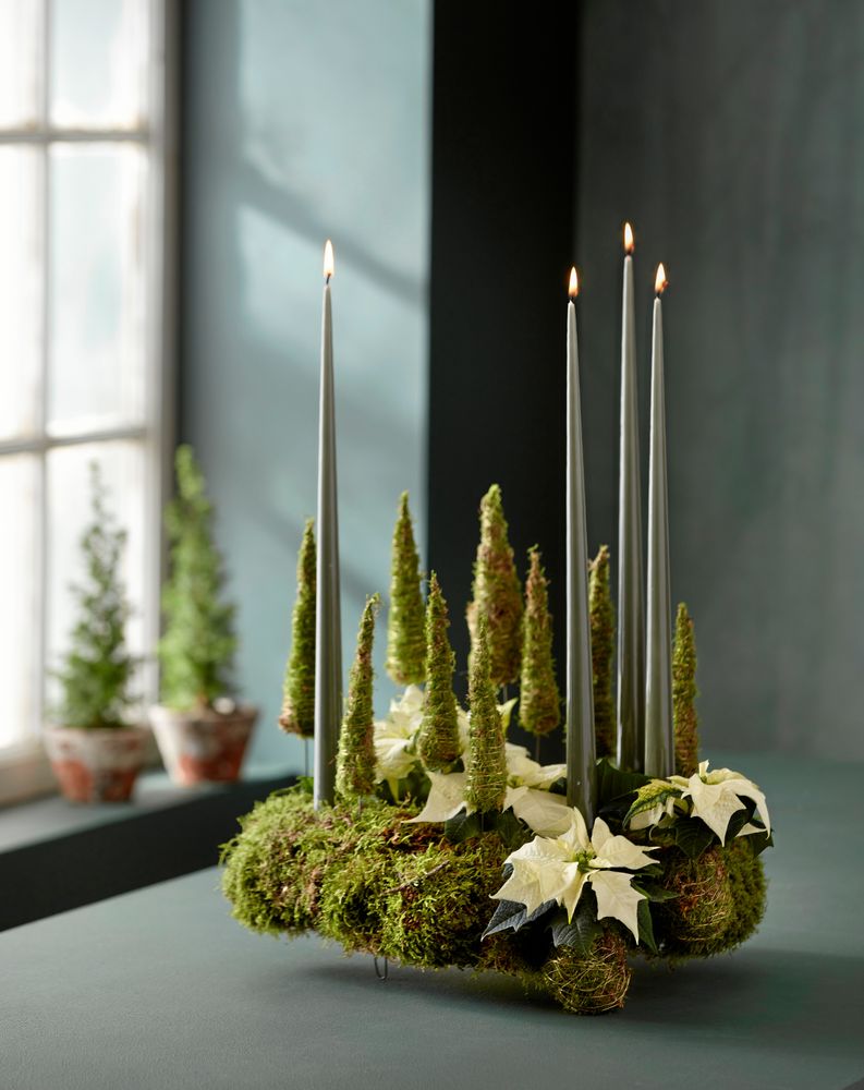 Naturligtvis ska ljusen inte lämnas obevakade. Runt kransen, kring julstjärnans rotboll, inne i ståltrådskonerna - det är mosskrafs från gräsmattan överallt.