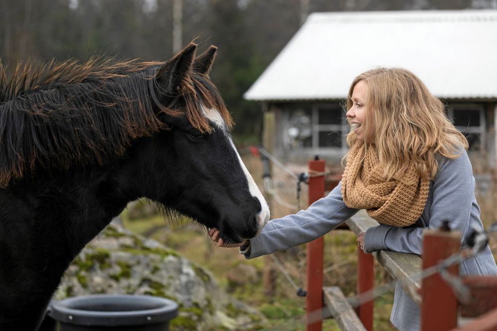 Unghästen Eldar är en av gården fyra hästar.