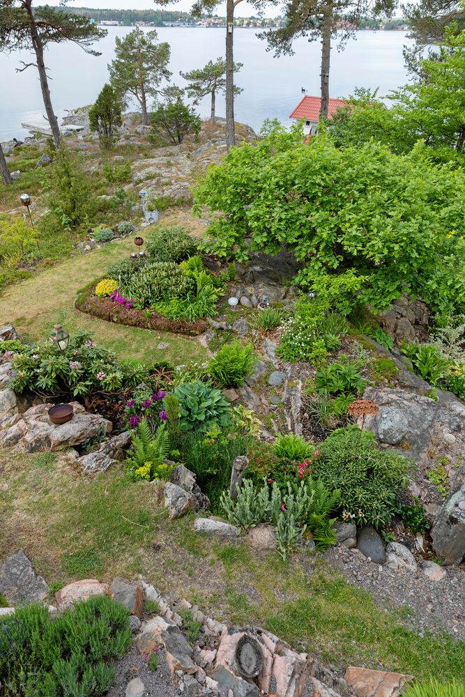 På andra sidan viken ligger Åmål men vem vill lyfta blicken när det finns så mycket att upptäcka nära huset? Det var här en jättelik krypgran dolde berget när Olle och Paula köpte udden. I dag fungerar en klippt ek som vindskydd mot västlig vind.