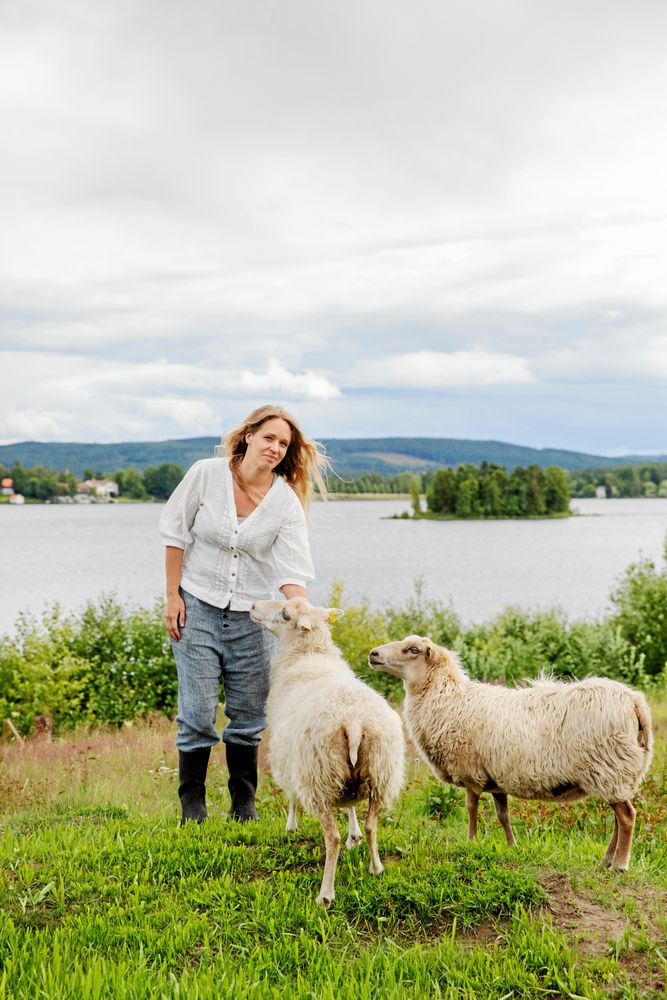 De nio Ryafårs-tackorna och deras 20 lamm håller markerna ner mot Byasjön öppna. De möter förväntansfullt upp när Lena kliver in i hagen.