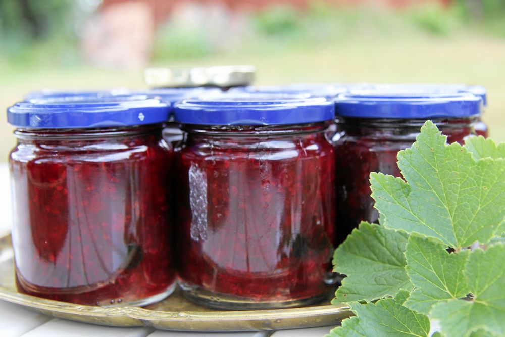 Safta och sylta i augusti och njut resten av året!