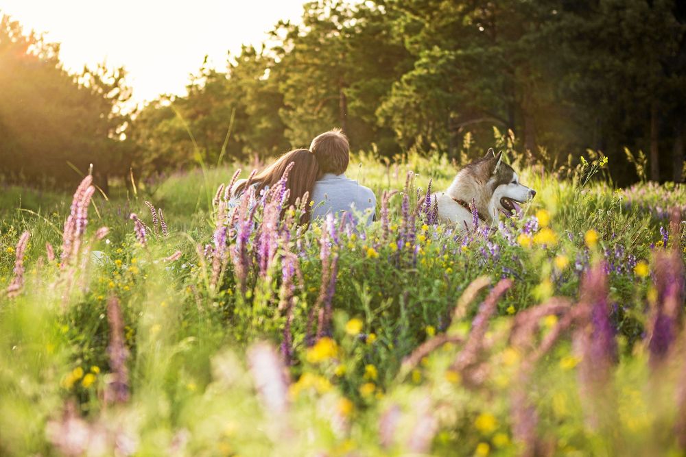 Glöm inte att fortsätta ta vara på det som är kvar av sommaren, som till exempel sköna augustikvällar med familj eller vänner.