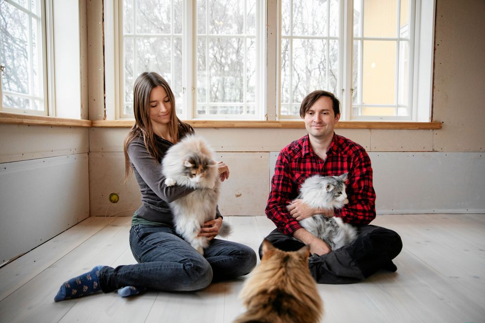 Therese och Andreas med tre av sina fyra norska skogskatter.