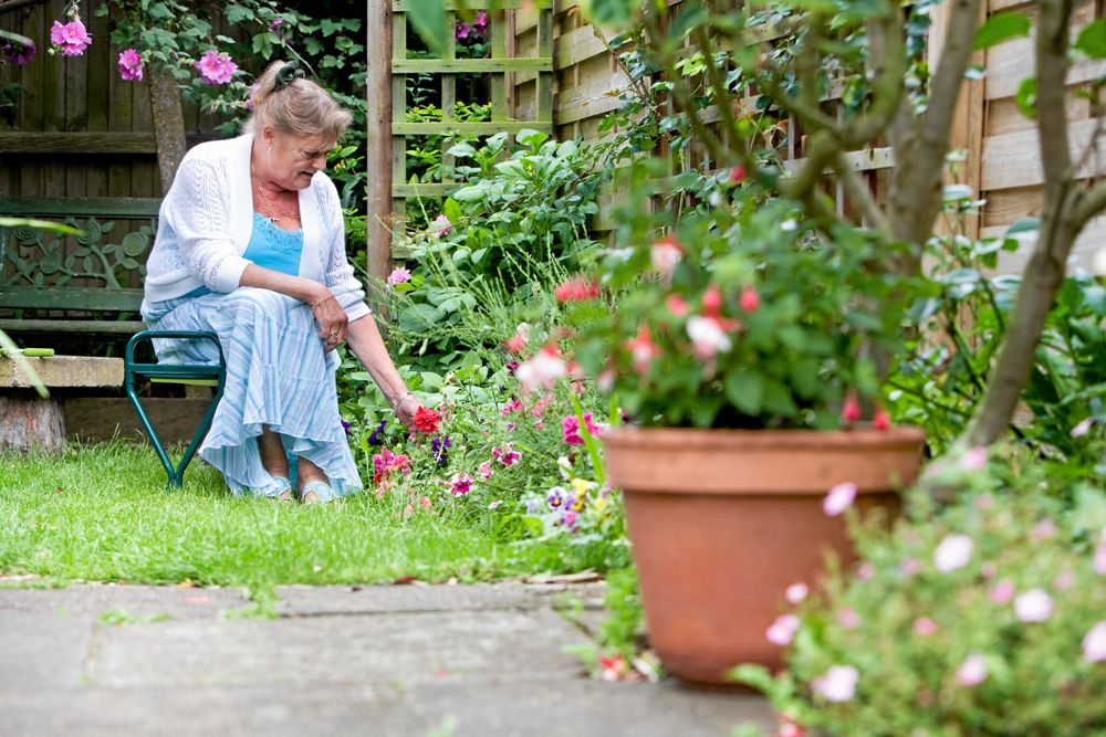 En bärbar liten trädgårdspall är värdefullt att kunna använda intill låga rabatter eller pallkragar.