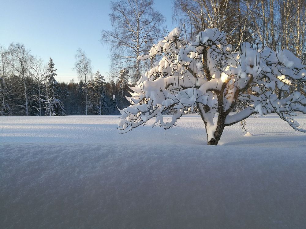Sommaren känns nog väldigt långt borta i Bjuråker, Hälsingland.