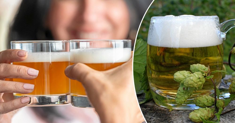 Öl i många stilar, allt finns i Västmanland.