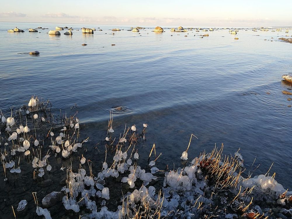 Wiveca Nilsson har fotat från Visby.