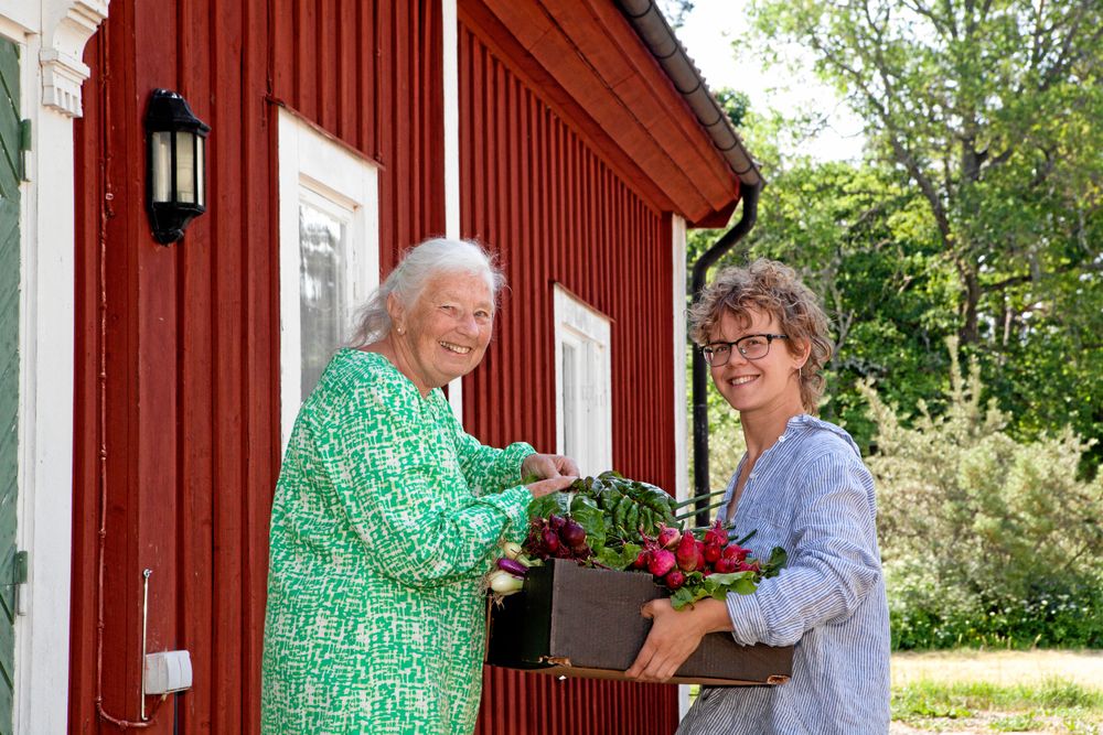 Kerstin Naidu Sjöswärd får en grönsakslåda levererad till sig från Emma Lundberg som driver andelsodlingen "Livslotten" där man satsar en andel pengar till odlingen och får leveranser under hela odlingssäsongen. Foto: Frida Ekman