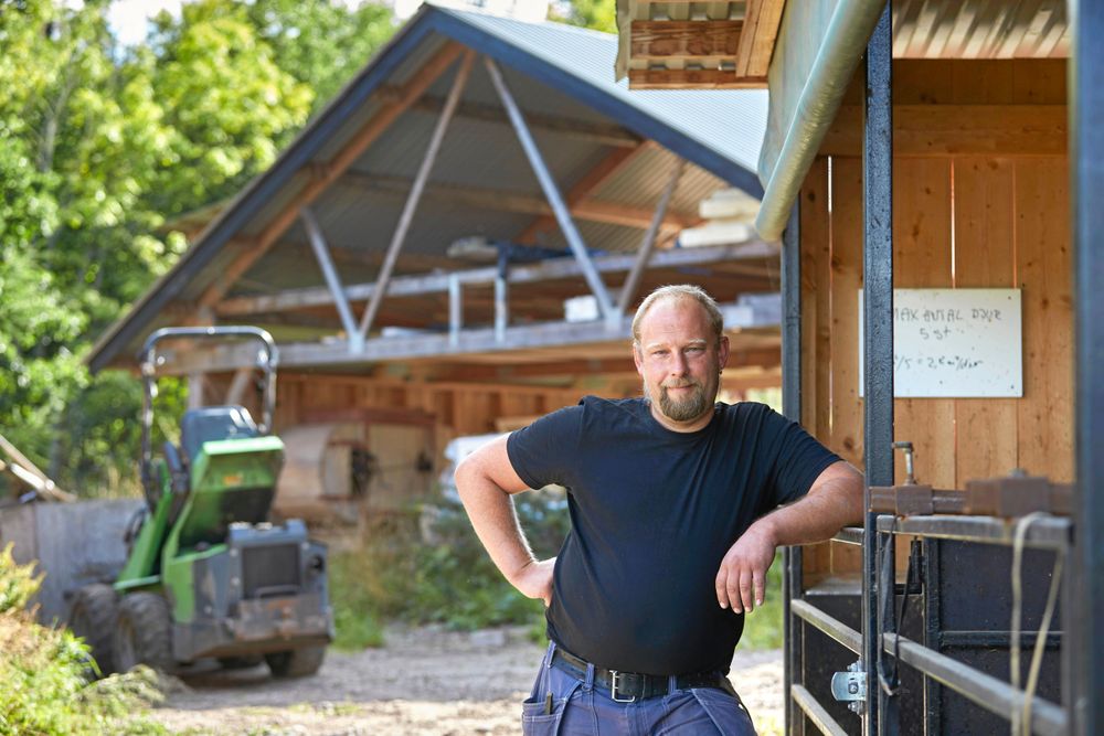Det var enklare än Daniel trodde att starta gårdsslakteriet, där han även tar emot Linderödsgrisar från andra gårdar i trakten.