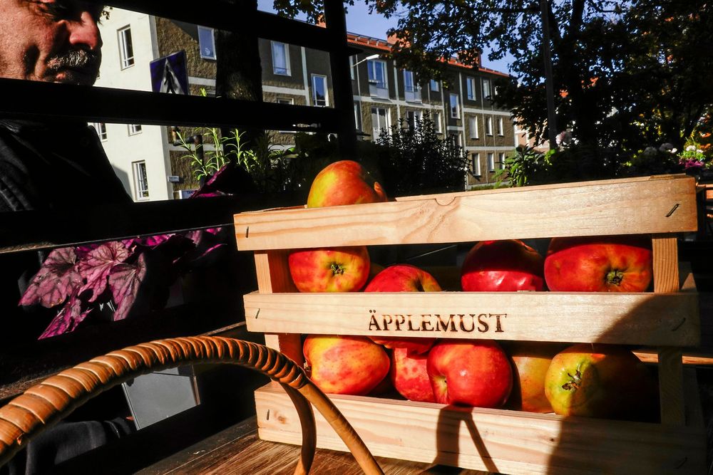 Har du mycket frukt att ta hand om kan det vara perfekt att göra must av frukten. Gott och nyttigt och väldigt lyxigt!