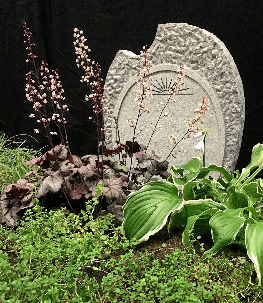 Martin Beyer, Rosa Aurora Borealis i Åkullsjön, blandade blad i sin plantering. Hosta, alunrot och timjan.