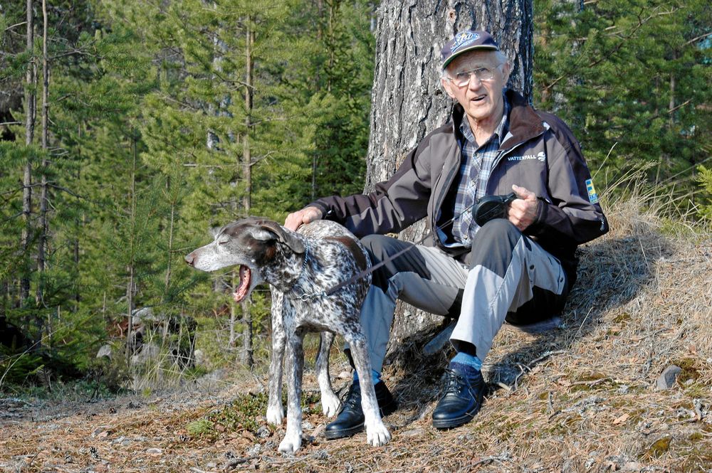 ”Han är inte lugn en sekund, den där jycken!”, sa Sixten Jernberg om Goliat som drog duktigt i kopplet under skogspromenaderna i Lima skogar.
