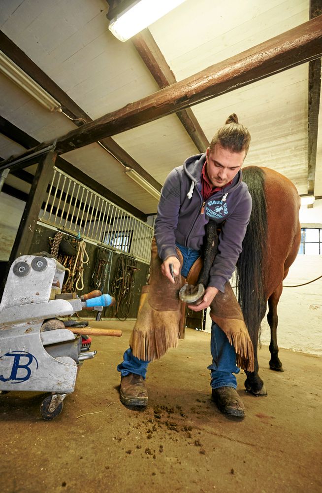 Moreno jobbar halvtid som hovslagare i sitt stall, utbildad hovslagare vid Flyinge hästcenter.