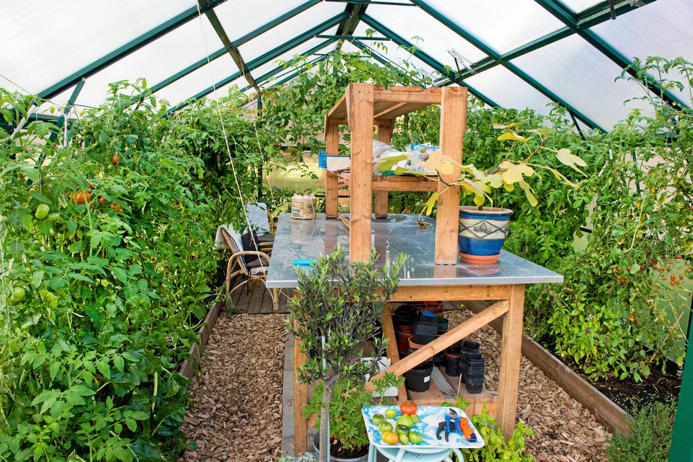 Växthuset bjuder bland annat på tomater för den som vill smaka.