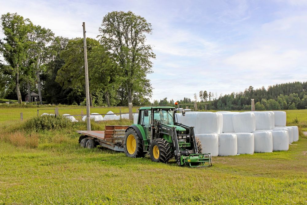 Kjell odlar eget klöver, gräs och spannmål som ensileras i stora balar.