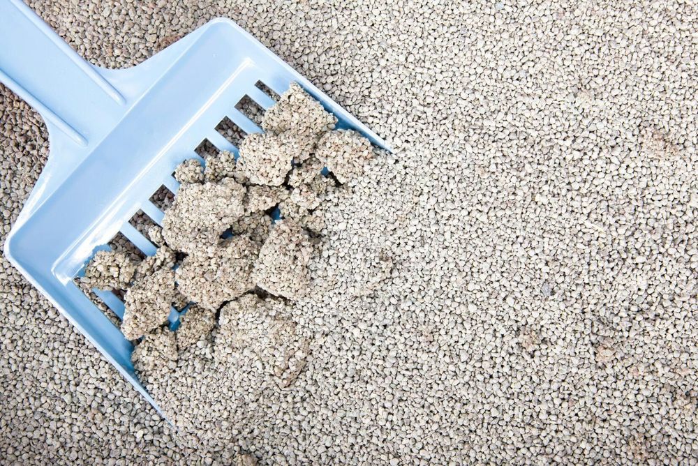 Kattsand hjälper mot halkan.