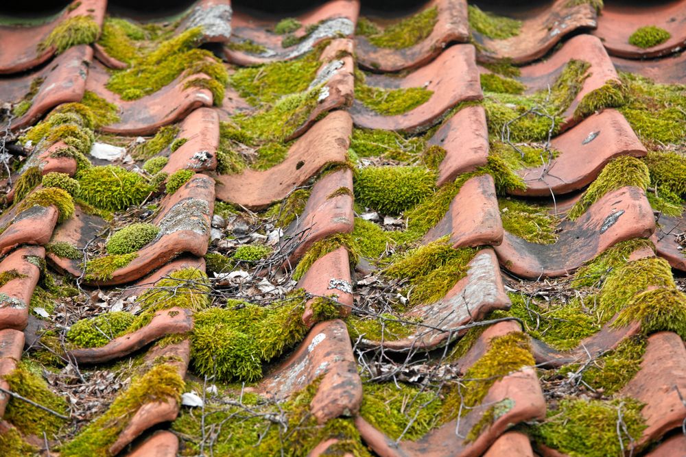 Fram med skrapan men var försiktig så att inte tegelpannorna rubbas ut sitt läge.