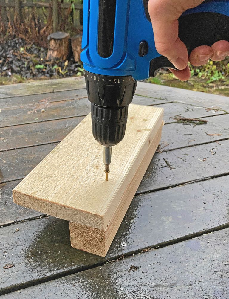 2. Borsthållarens botten.