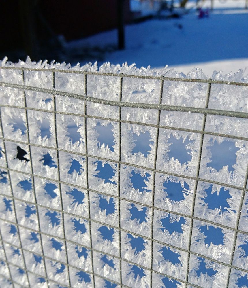 "Inte så mycket snö här i Fellingsbro (Örebro län) ca 20 cm. Men vi hade kallt i natt, ungefär 18-20 minus. Så frosten lämnade fina spår efter sig på grannens staket här i Norra Torvesta, Fellingsbro."