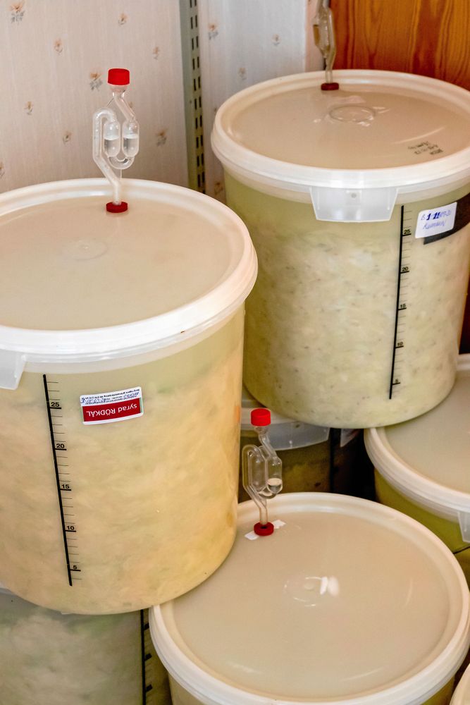 Mjölksyrebakterierna arbetar för fullt med att producera nyttigheter och smaker i syrningstunnorna.